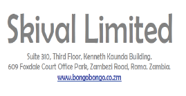 Skival Limited logo